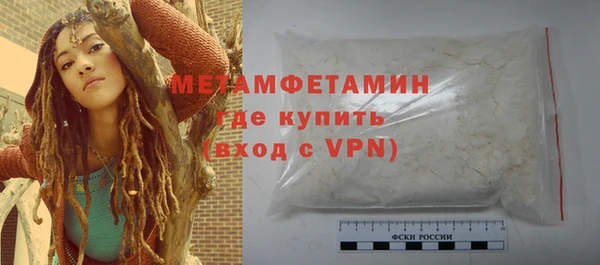 гидра Богородицк