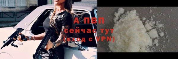 spice Белокуриха