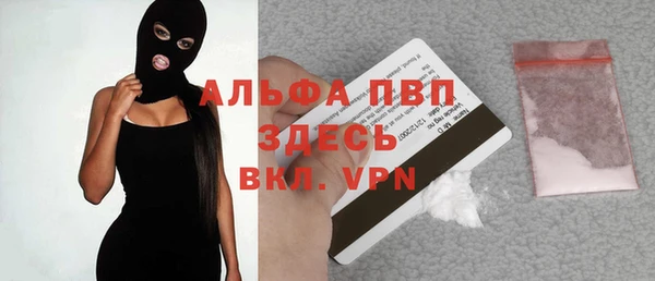 spice Белокуриха
