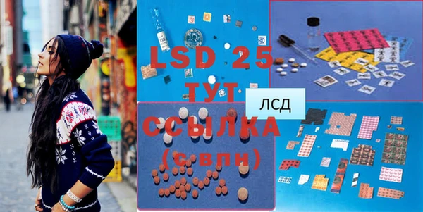 гидра Богородицк