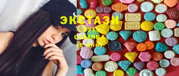 гидра Богородицк