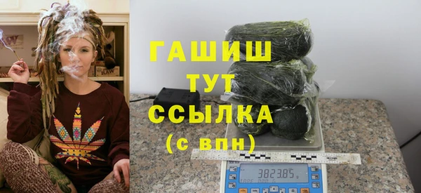 дмт Бородино
