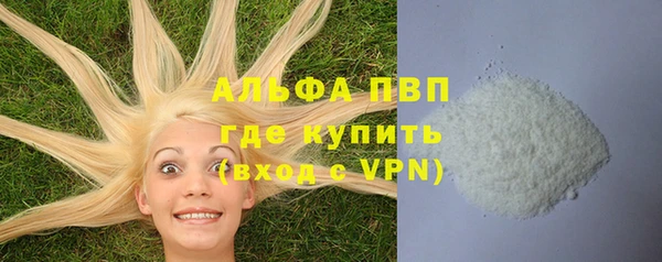 дмт Бородино
