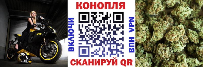 Бошки Шишки гибрид  Иннополис 